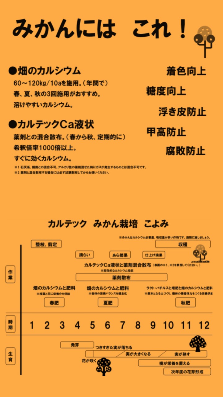 みかんの栽培こよみ 株式会社カルテックホームページ
