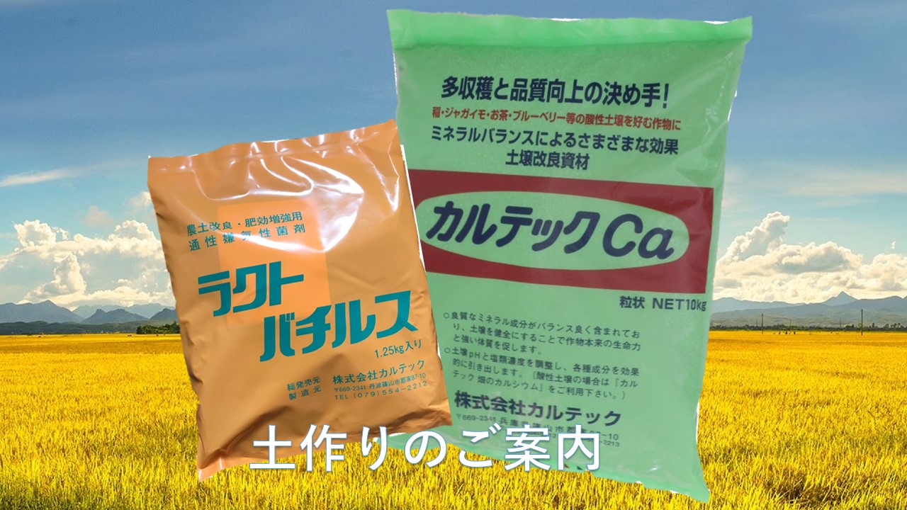 土作り.jpg