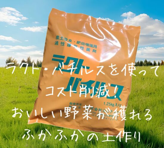 ブログ - 株式会社カルテックホームページ
